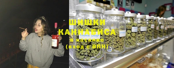 мет Протвино