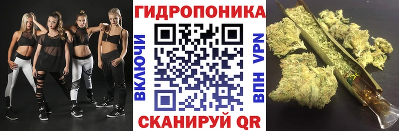 Бошки Шишки марихуана блэк спрут вход Богородицк